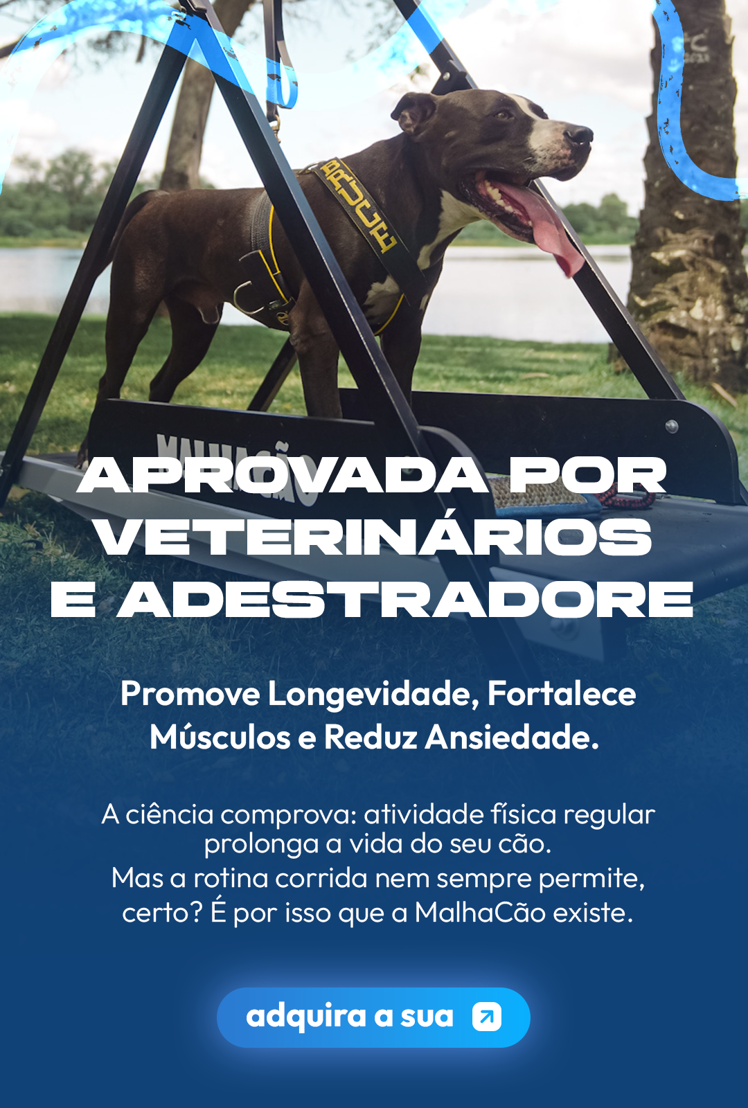 malhacao-pet-esteira-para-caes-referenciia-aprovada-por-veterinarios-e-adestradoes