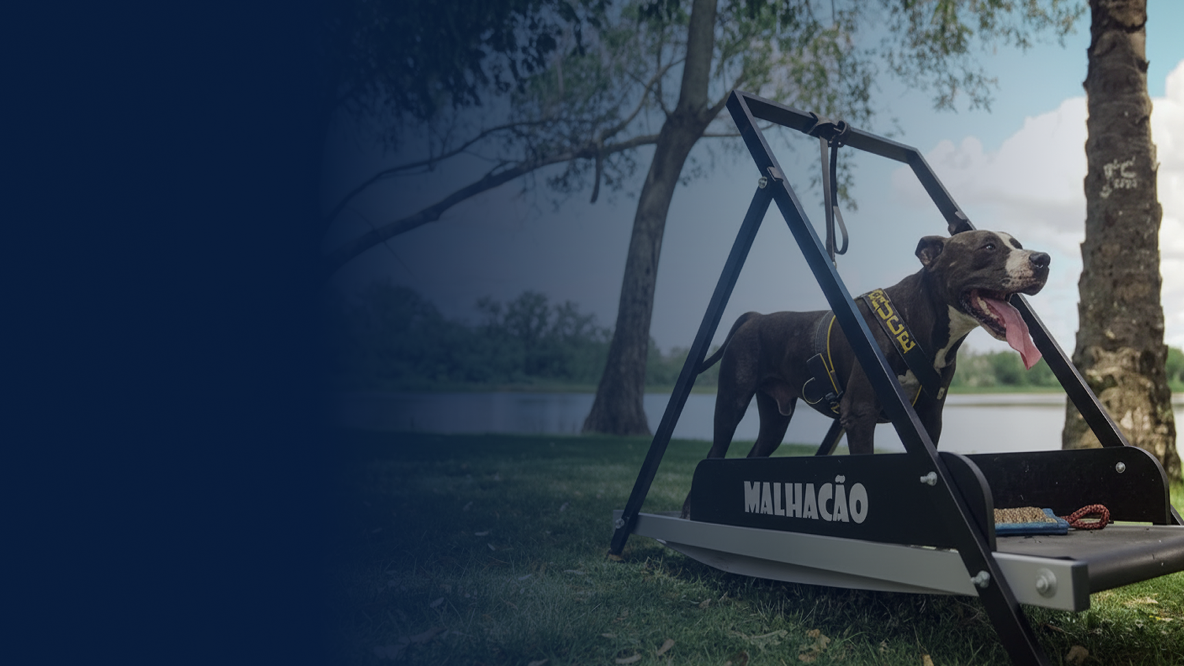 MalhaCão Pet | Saúde, Fitness e Bem-Estar para o Seu Cachorro