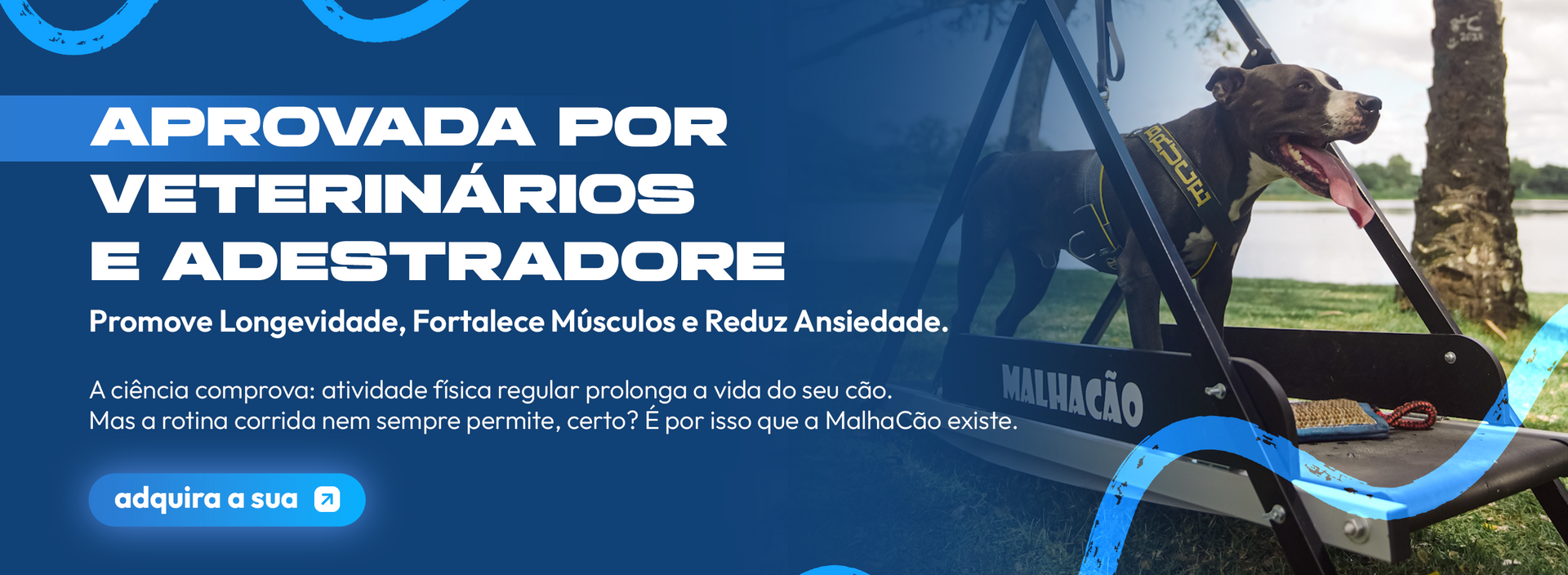 malhacao-pet-esteira-para-caes-referenciia-aprovada-por-veterinarios-e-adestradoes