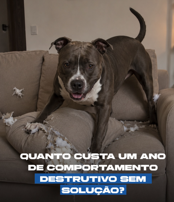 Cachorro ansioso destruindo móveis -  esteira para cães