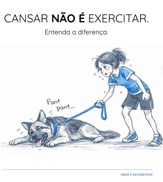 Como cansar um cachorro de verdade — e por que o passeio nem sempre resolve
