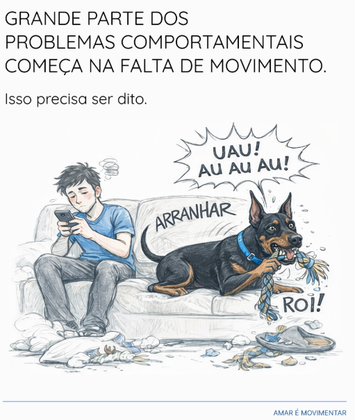Cachorro que destrói tudo em casa não é um problema de comportamento. É um problema de energia.