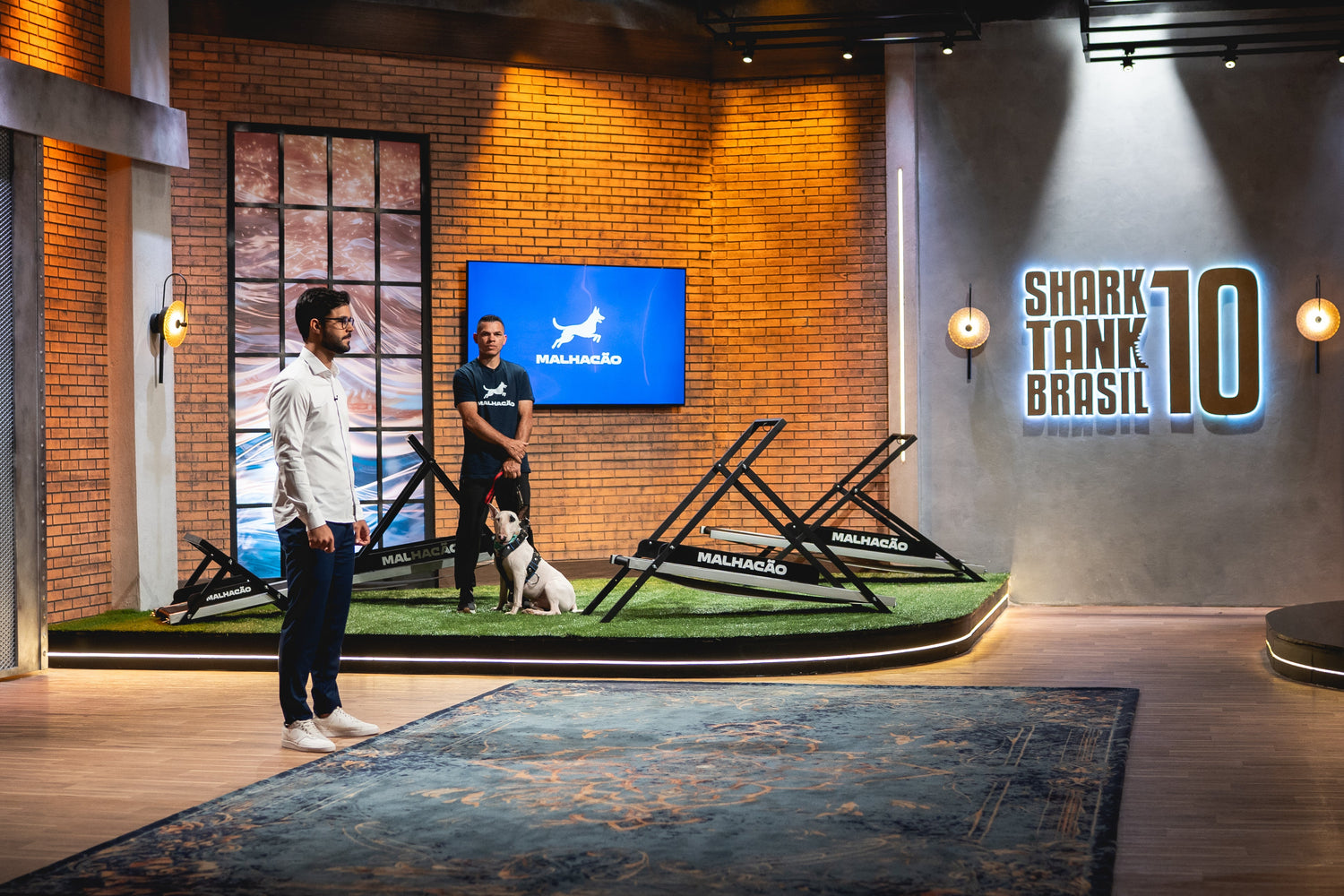 Quanto exercício um cachorro precisa por dia? (a resposta que quase ninguém segue)