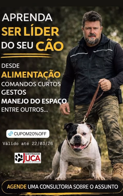 O Adestrador Juca passou anos formando cães para a polícia. Agora resolve os seus.