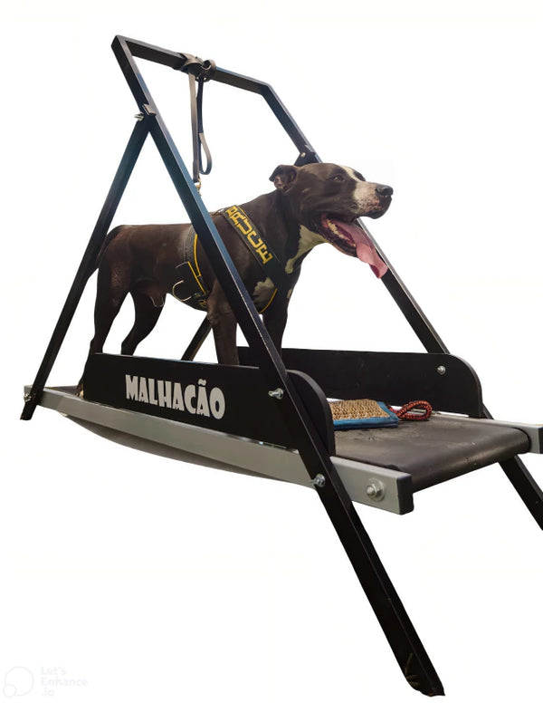 Esteira para cachorros MalhaCão G (1,5m)