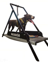 Esteira para cachorros MalhaCão G (1,5m)