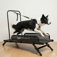 ESTEIRA PARA CÃES ARTICULADA M — MALHACÃO