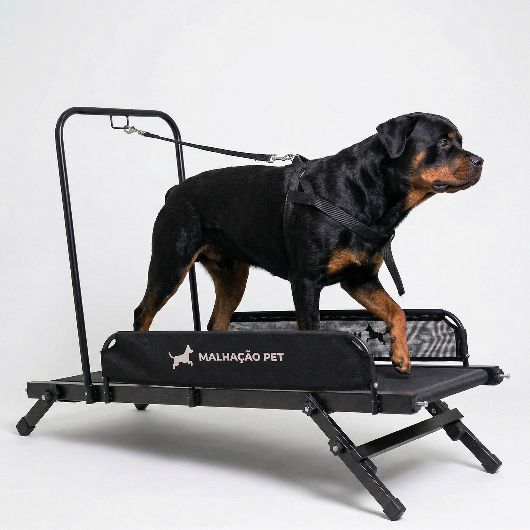 Esteira para Cães Articulada G — MalhaCão