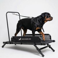 Esteira para Cães Articulada G — MalhaCão