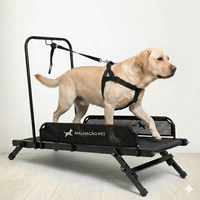ESTEIRA PARA CÃES ARTICULADA M — MALHACÃO