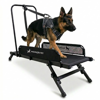 Esteira para Cães Articulada G — MalhaCão