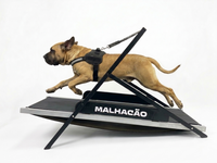 ESTEIRA PARA CACHORROS MALHACÃO GG (1,8 M) - A MAIOR ESTEIRA DO MUNDO!