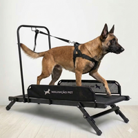 ESTEIRA PARA CÃES ARTICULADA M — MALHACÃO