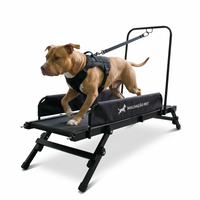Esteira para Cães Articulada M — MalhaCão