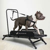 Esteira para Cães Articulada M — MalhaCão
