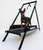 ESTEIRA PARA CACHORROS MALHACÃO P (1,2 M)