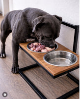 Comedouro premium para cães com altura regulável