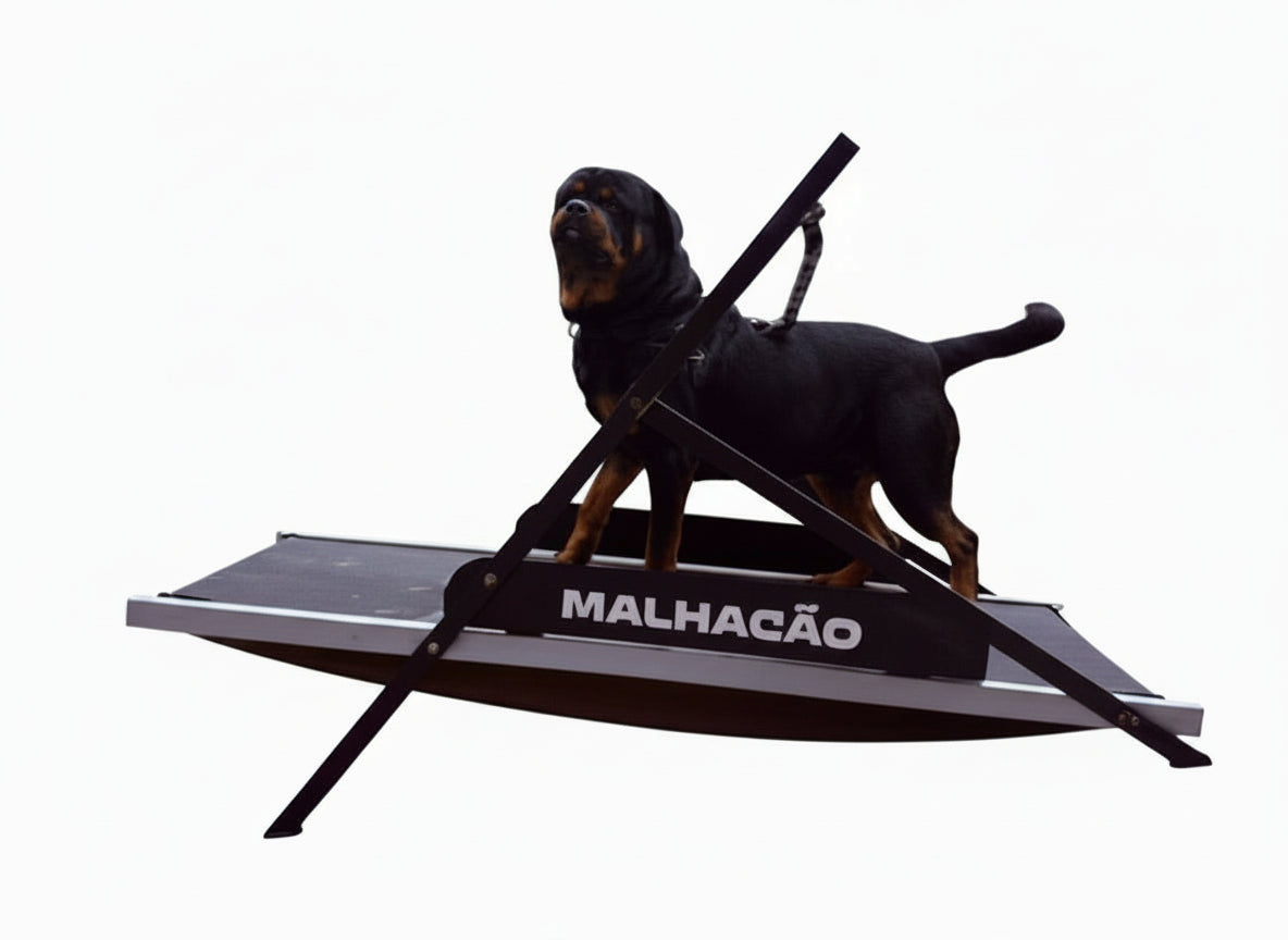 Esteira para cachorros MalhaCão GG (1,8m) - A MAIOR ESTEIRA DO MUNDO!