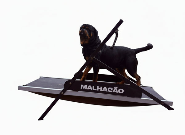 Esteira para cachorros MalhaCão GG (1,8m) - A MAIOR ESTEIRA DO MUNDO!