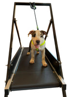 Esteira para cachorros MalhaCão G (1,5m)