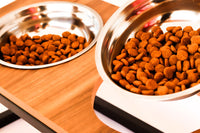 Comedouro premium para cães com altura regulável