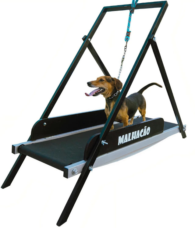 Esteira para cachorros MalhaCão M (1,2M)