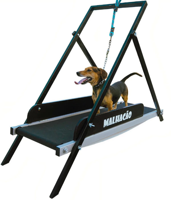 Esteira para cachorros MalhaCão M (1,2M)