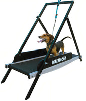 Esteira para cachorros MalhaCão M (1,2M)